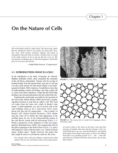Plant Cell Biology: From Astronomy to Zoology cover