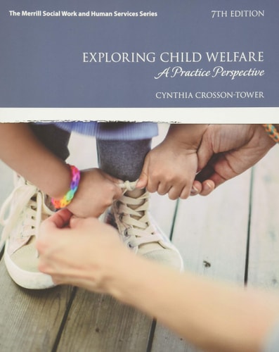 Exploring Child Welfare A Practice Perspective cover