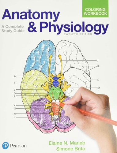 Anatomy and Physiology Coloring Workbook A Complete Study Guide cover
