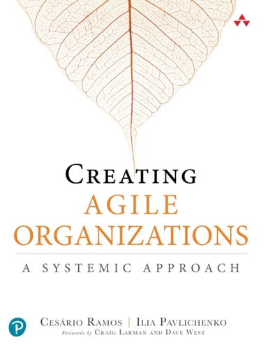 Creating Agile Organizations A Systemic Approach cover