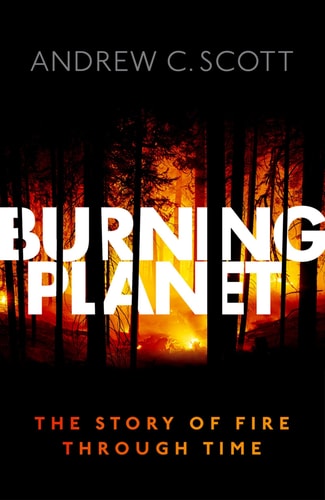 Burning Planet The Story of Fire Through Time cover