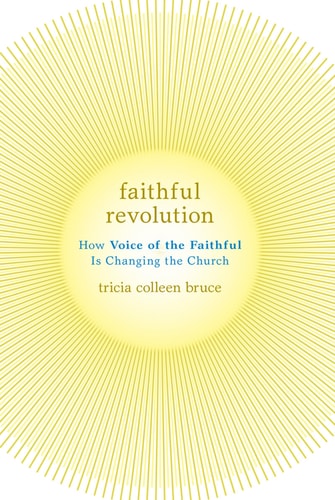 Faithful Revolution How Voice of the Faithful Is Changing the Church cover