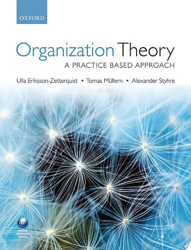 Organization Theory A Practice Based Approach cover