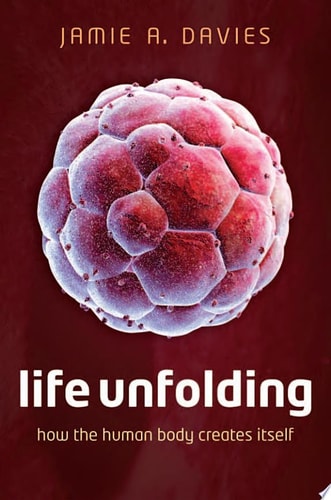 Life Unfolding How the Human Body Creates Itself cover