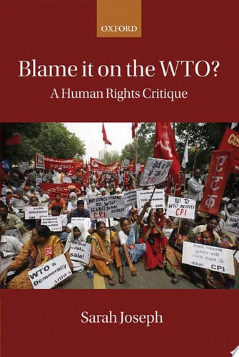 Blame it on the WTO? A Human Rights Critique cover
