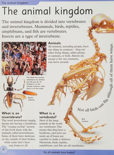 First Animal Encyclopedia cover