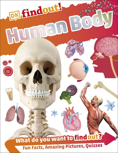 Human Body cover