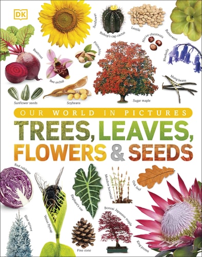 Our World in Pictures: Trees, Leaves, Flowers and Seeds cover