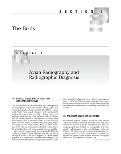 Veterinary Diagnostic Imaging Birds, Exotic Pets, and Wildlife cover