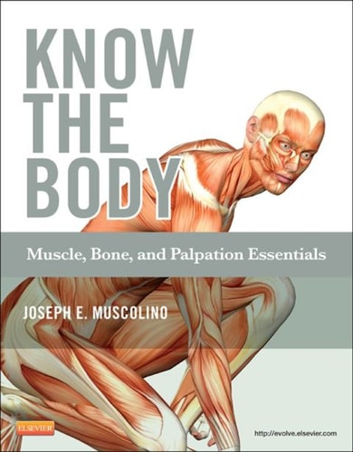 Know the Body Muscle, Bone, and Palpation Essentials cover