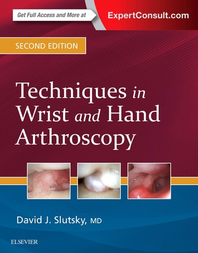 Techniques in Wrist and Hand Arthroscopy cover