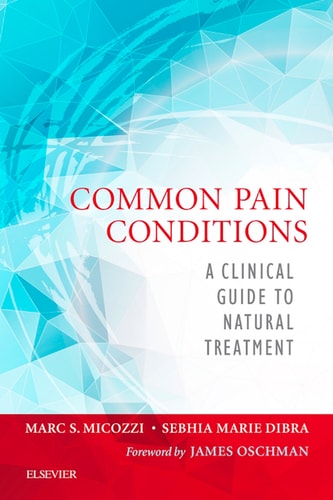 Common Pain Conditions A Clinical Guide to Natural Treatment cover