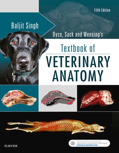Dyce, Sack, and Wensing's Textbook of Veterinary Anatomy cover