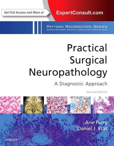 Practical Surgical Neuropathology A Diagnostic Approach cover