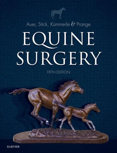 Equine Surgery cover