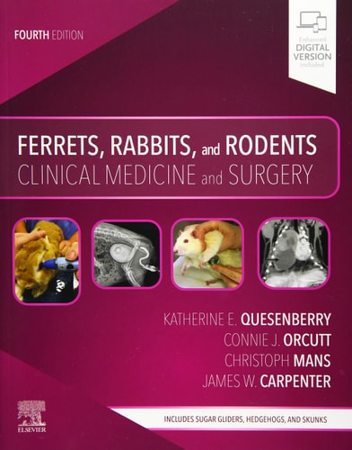Ferrets, Rabbits, and Rodents Clinical Medicine and Surgery cover