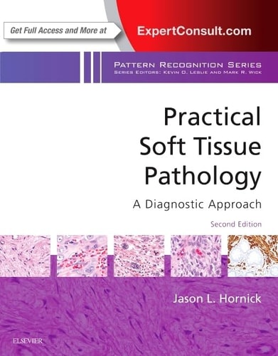 Practical Soft Tissue Pathology A Diagnostic Approach cover