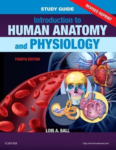 Study Guide for Introduction to Human Anatomy and Physiology - Revised Reprints cover