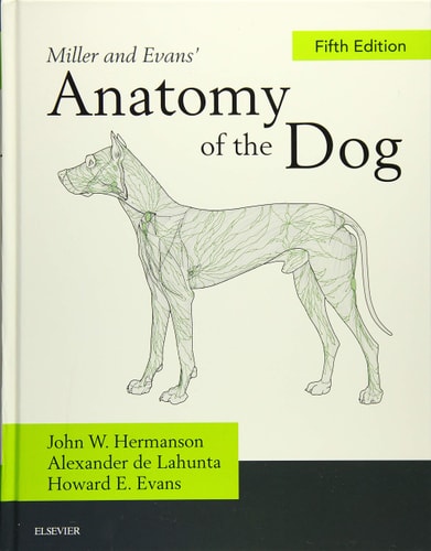Miller and Evans' Anatomy of the Dog cover