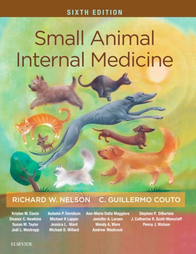 Small Animal Internal Medicine cover