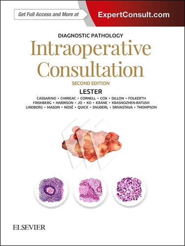 Diagnostic Pathology: Intraoperative Consultation cover