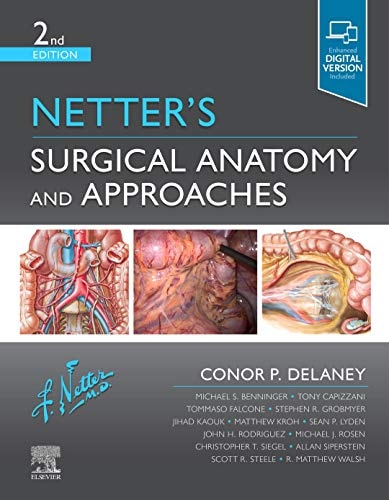 Netter's Surgical Anatomy and Approaches cover