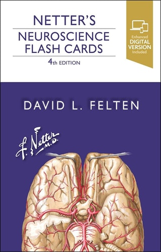 Netter's Neuroscience Flash Cards cover