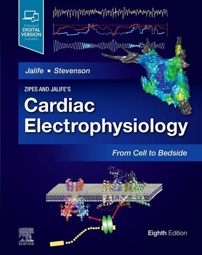 Zipes and Jalife's Cardiac Electrophysiology From Cell to Bedside cover