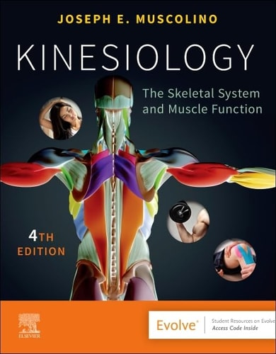 Kinesiology The Skeletal System and Muscle Function cover