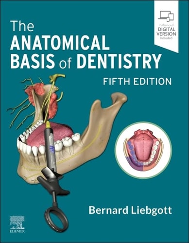 The Anatomical Basis of Dentistry cover