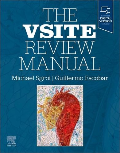 The VSITE Review Manual cover