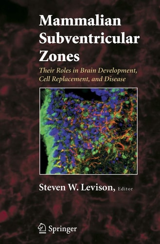 Mammalian Subventricular Zones Their Roles in Brain Development, Cell Replacement, and Disease cover