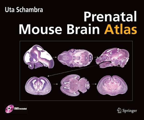 Prenatal Mouse Brain Atlas cover