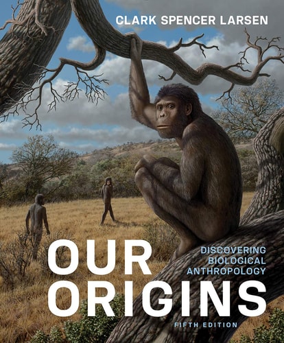 Our Origins Discovering Biological Anthropology cover