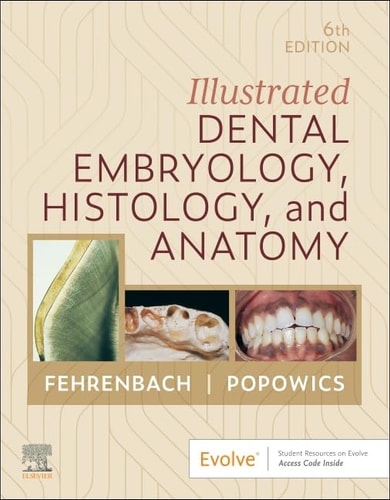 Illustrated Dental Embryology, Histology, and Anatomy cover