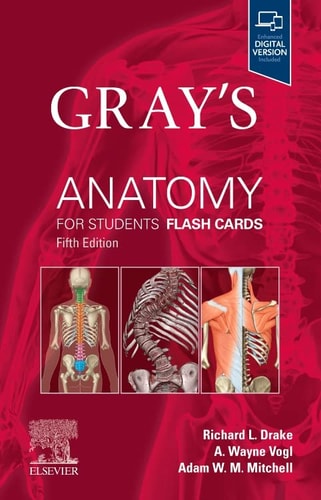 Gray's Anatomy for Students Flash Cards cover