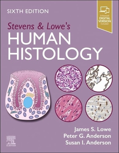Stevens & Lowe's Human Histology cover