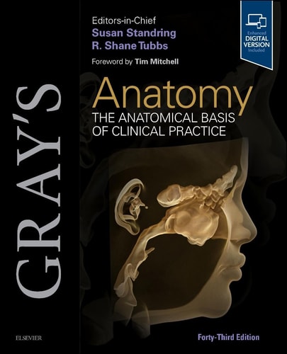 Gray's Anatomy The Anatomical Basis of Clinical Practice cover