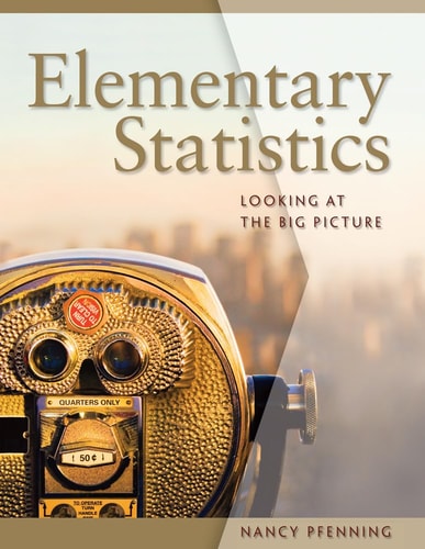 Elementary Statistics: Looking at the Big Picture cover
