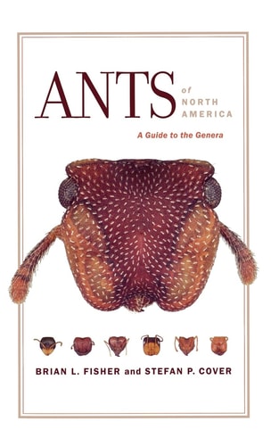 Ants of North America A Guide to the Genera cover