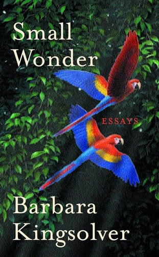 Small Wonder cover