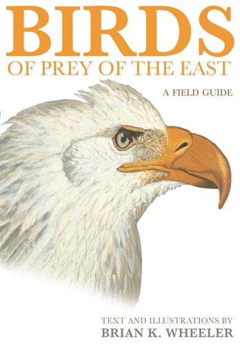 Birds of Prey of the East A Field Guide cover