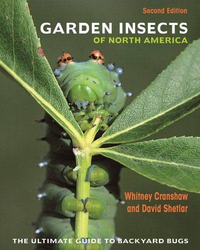 Garden Insects of North America The Ultimate Guide to Backyard Bugs - Second Edition cover