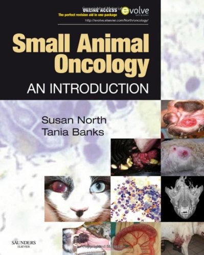 Small Animal Oncology An Introduction cover