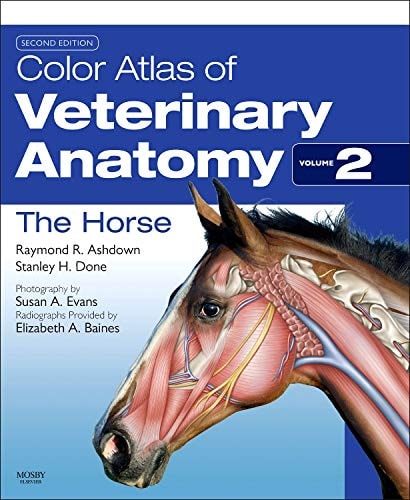 The Horse cover