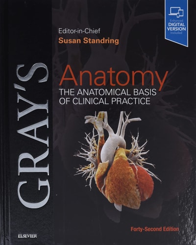 Gray's Anatomy The Anatomical Basis of Clinical Practice cover