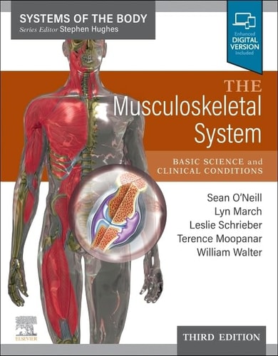 The Musculoskeletal System Systems of the Body Series cover