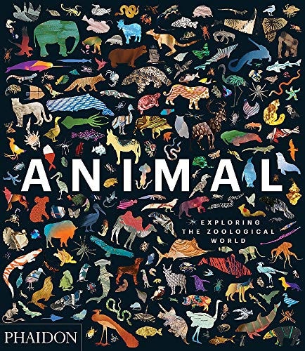 Animal: Exploring the Zoological World cover