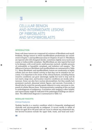 Biopsy Interpretation of Soft Tissue Tumors cover
