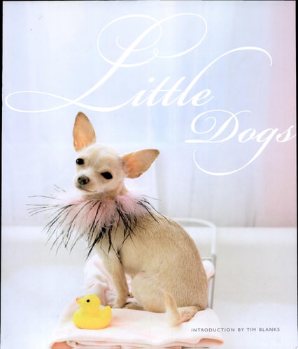Little Dogs cover